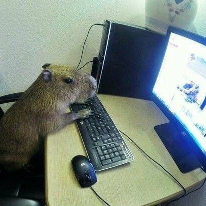 Nicolas tweet media