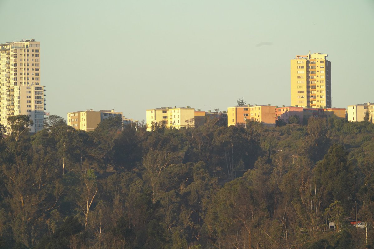 AVL1986's tweet photo. 🌆 #Teleobjetivo #Telezoom #Fotografía #Photography #ViñaDelMar https://t.co/yUoG90RR8c