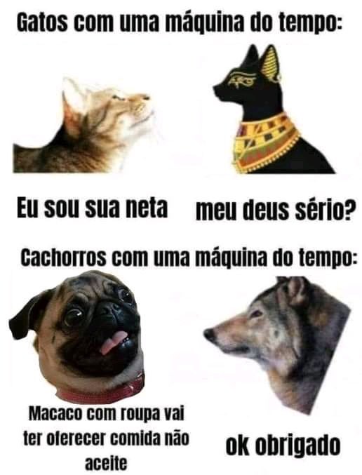 biologia_braba's tweet photo. https://t.co/rqdWK04Hws