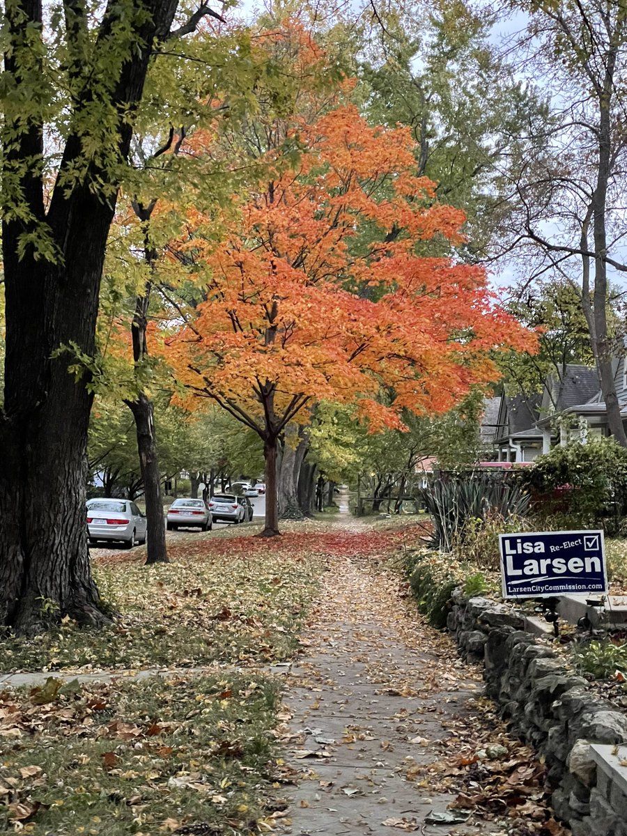 larryvillelife's tweet photo. A gray evening walk around OWL but the foliage is popping. #fallfoliagewars https://t.co/xyo1F4dXqS