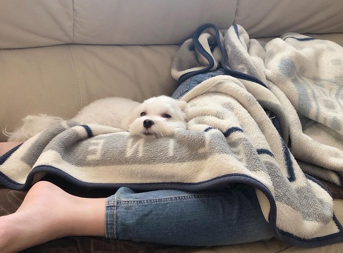 おはようございます🐶😴 