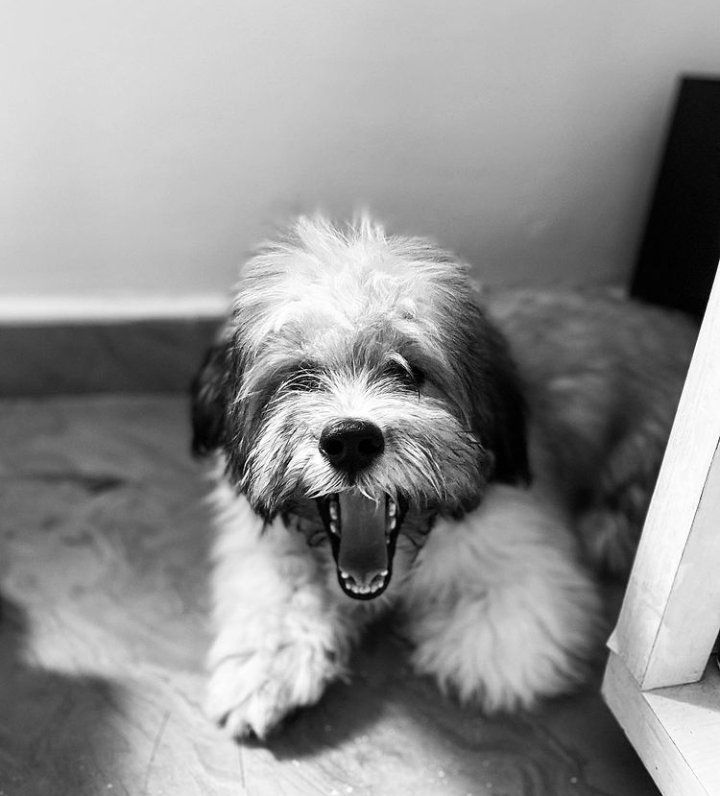 Palie_Pally's tweet photo. Can't wait to see Zeus this coming weekend πππ Dear Emmanuel please Sir do the needful π©π
#ALetterToEmmanuel
#EmmanuelAt24 https://t.co/UEghY7bovM
