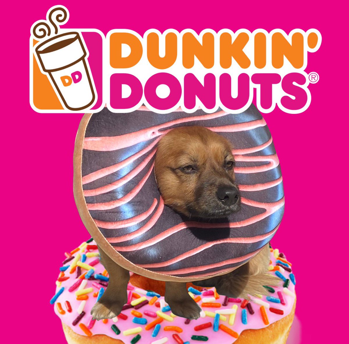 JH Scherck tweet media