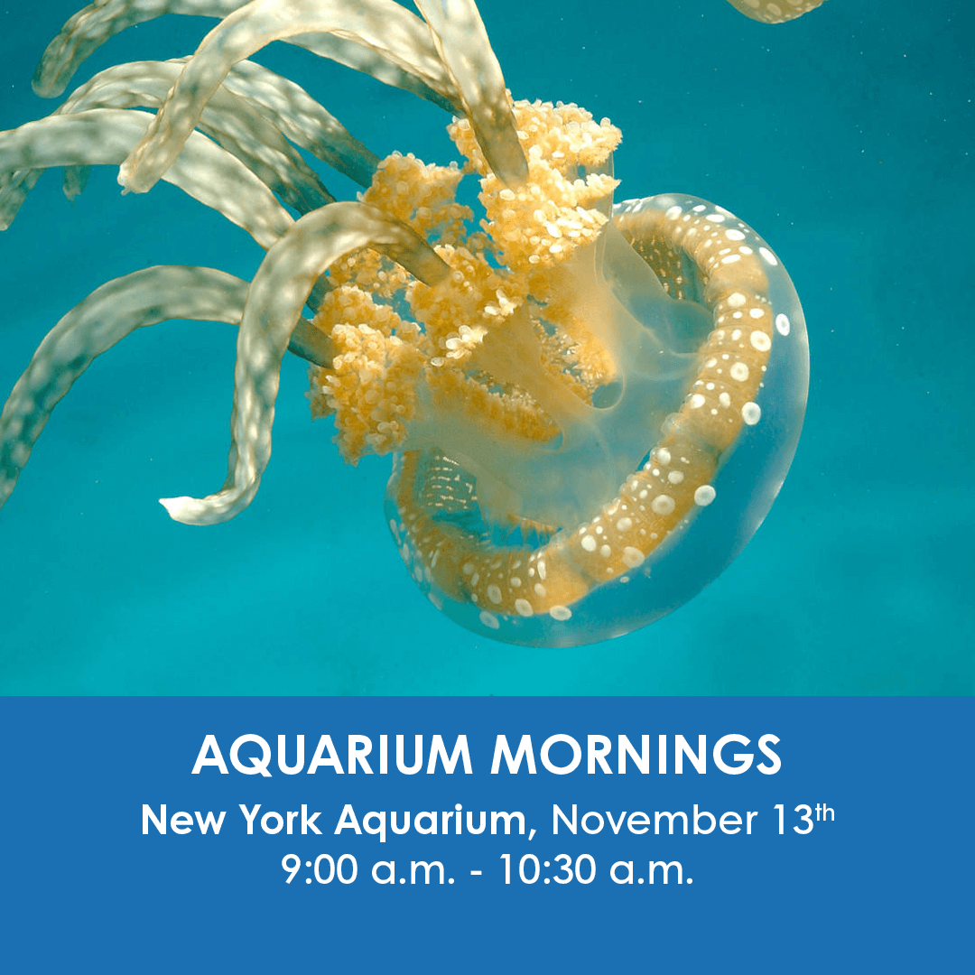 wcseducation's tweet photo. Check Out Our Family Programs happening at the New York Aquarium this Month.
β
β#wcseducation #inspire #thingstodowithkids #familyprograms #childrenprograms #aquarium #kidsnyc https://t.co/mtPAZzCeSt https://t.co/padHWXl6Uu