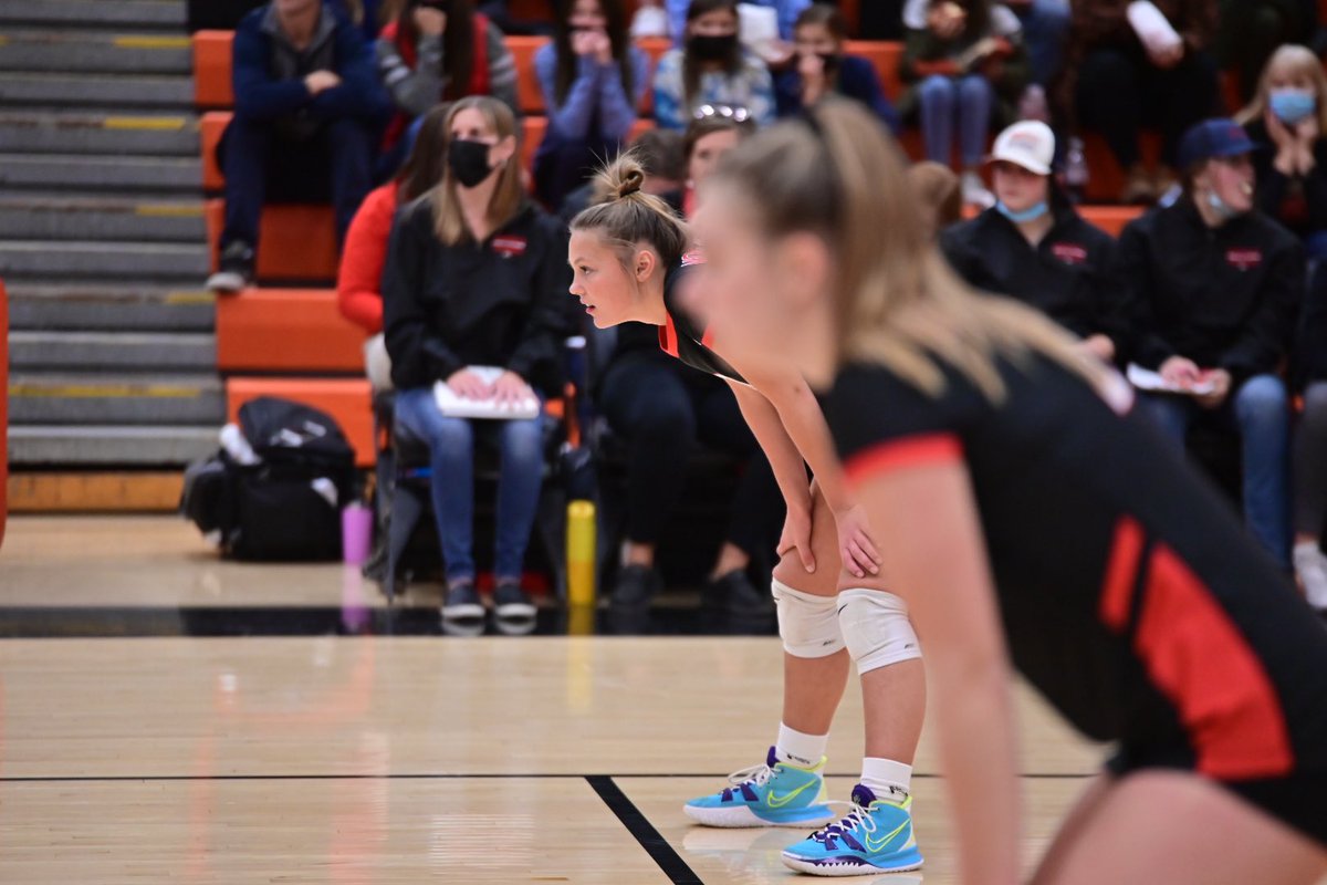 Monticello Magic tweet media