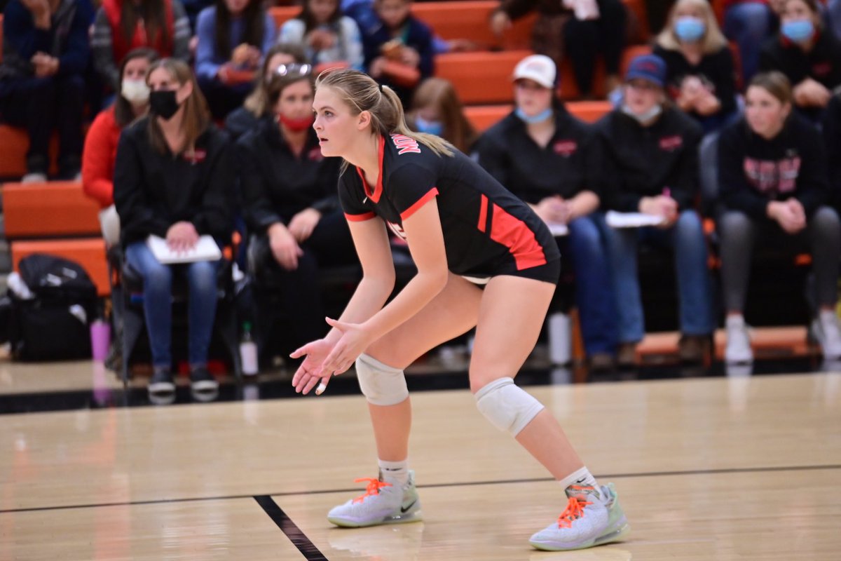 Monticello Magic tweet media