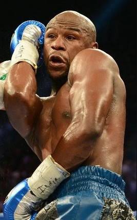 dipsografia's tweet image. Pelejando pra transformar o caixão em concha. ⚰️⏩🐚
#Phillyshell