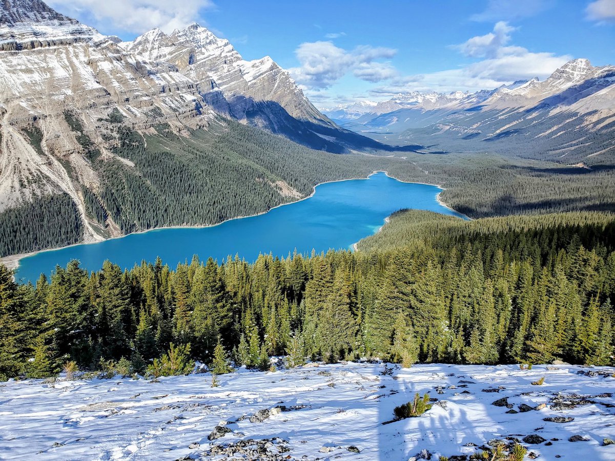 Canuckelhead1's tweet photo. 🇨🇦 https://t.co/sPT0itJi5o