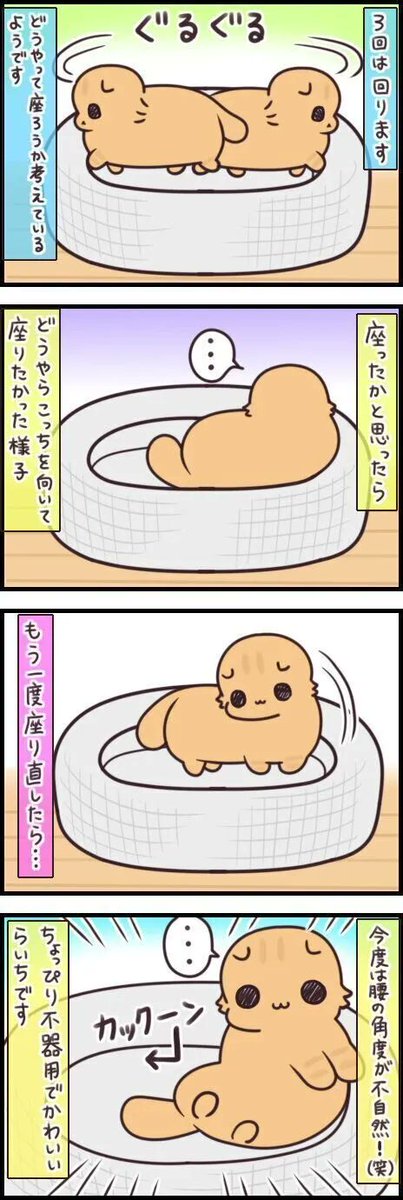 ぐるぐる回る派?すぐくつろぐ派?位置決めが器用な猫、不器用な猫【連載】もふもふスコたん#198|ねこのきもちWEB MAGAZINE https://t.co/KWzTLWXQIp 
