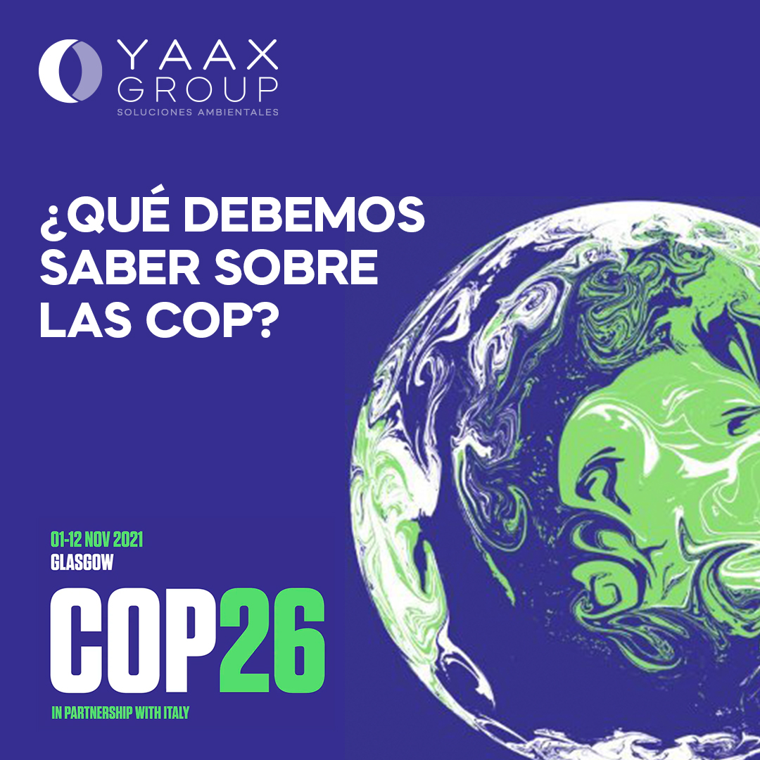 YaaxGroup's tweet photo. Este año se celebra la @COP26,  la cual dio inicio el pasado 31 de octubre y finalizará el 12 de noviembre. Hasta el día de hoy estos han sido los temas relevantes:
(Abrimos 🧵) https://t.co/WnGfpLmOpA