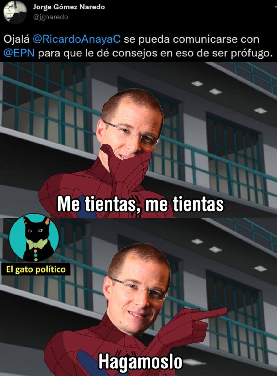 elgatopolitico_'s tweet photo. #YLoSabe 🚨 https://t.co/7idEprePMT