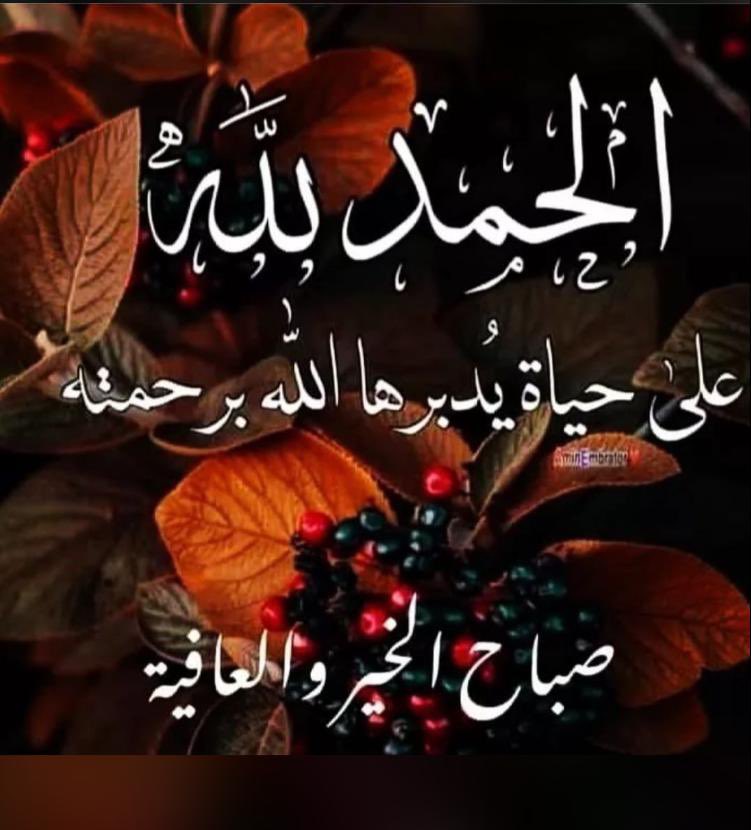 غيوض🦋 (@atheeeer2011) on Twitter photo 
