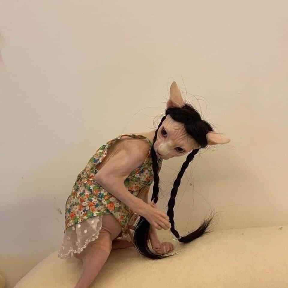ZOO_FESS's tweet photo. zoo aku gadis desa yang sangat geulis tau. https://t.co/R6rMbVmo0o