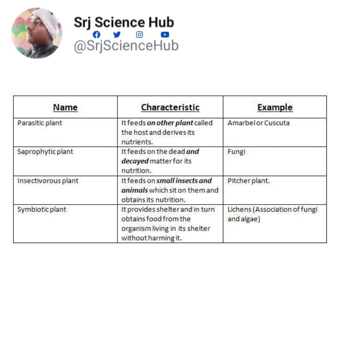 SrjScienceHub's tweet photo. ❝ Some types of Plants ❞
•
•
Follow for more @SrjScienceHub
•
•
#srjsciencehub #science #biology #selfstudy #scienceteacher #biologyteacher #biologynotes #sciencelover #sciencestudents #biolovers #sciencenotes #sciencefacts #biologystudent #study #biologists #plants https://t.co/PPIf7df24G