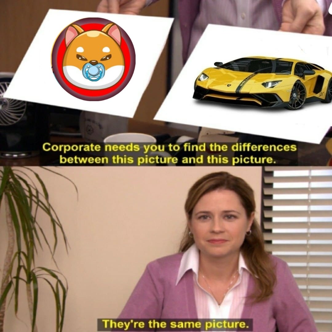 erehmikahhh's tweet image. Very big project...soon to moon
buy and hodl everyone✊🏼✊🏼
#MiniShibaInu #Giveaway #MiniShibaInuGiveaway