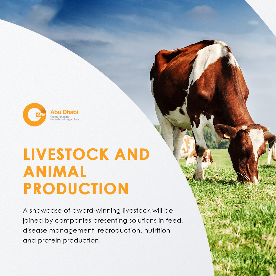Join us at #GFIAMENA2021 and learn about the future of #livestock and #animalproduction! Industry #leaders from around the world will be in attendance to showcase their #technologies and #solutions. Register now: innovationsinagriculture.com

#GFIAMENA #innovation #agriculture