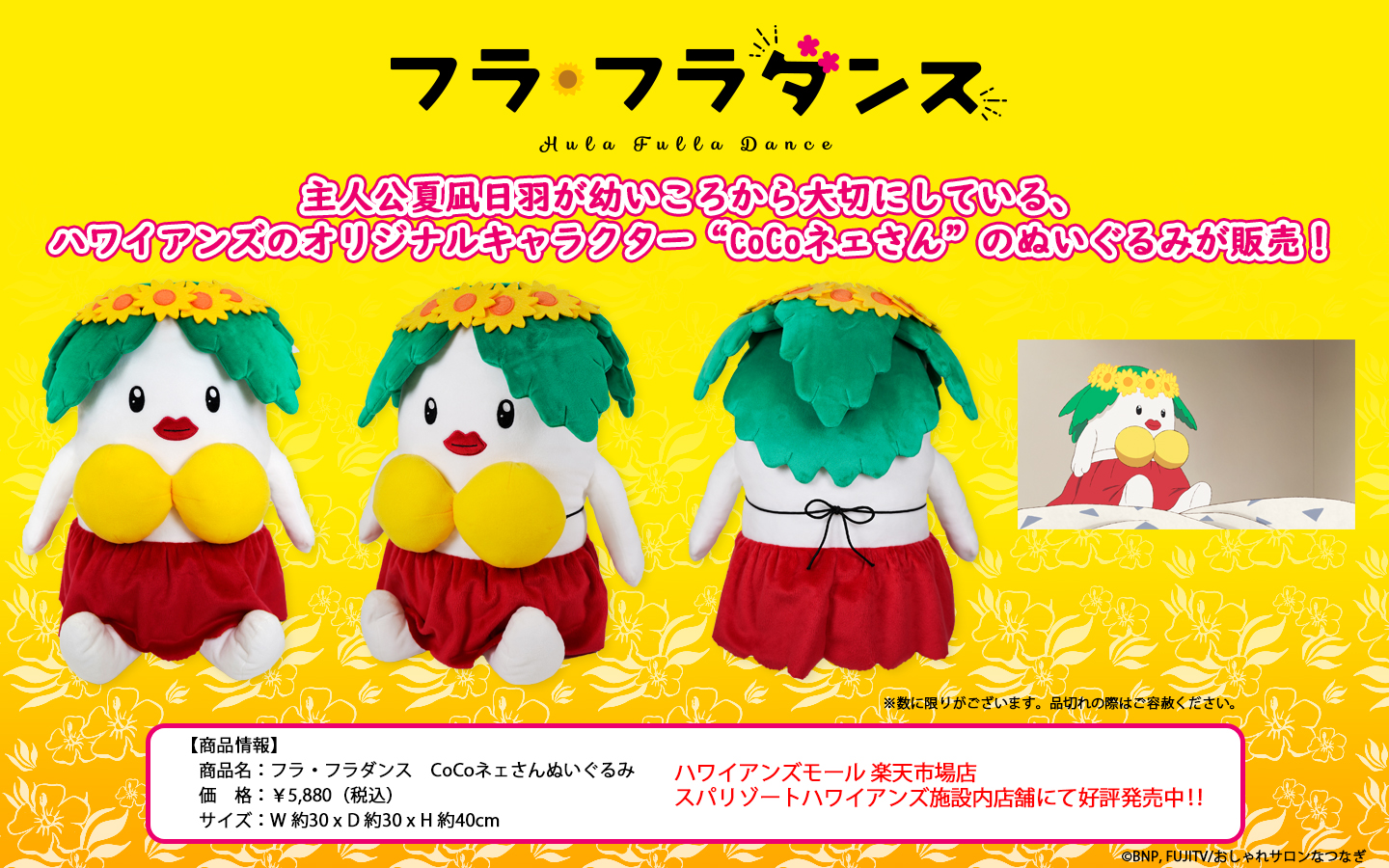 Cocoネェさん Twitter Search Twitter