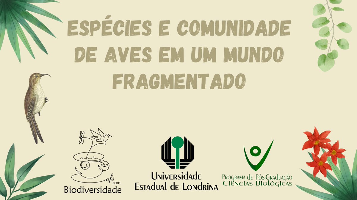 PpgUel's tweet photo. Atenção. Quer aprender um pouco mais sobre efeitos da fragmentação nas aves? Então essa palestra é para você. Se inscreva, vagas limitadas, mas gratuitas. 
Quando: 12/11
Horário: 16:00 (de Brasília)
Local: gmeet
inscrições: https://t.co/0E5zUOqulT https://t.co/zZRR8NjVbW