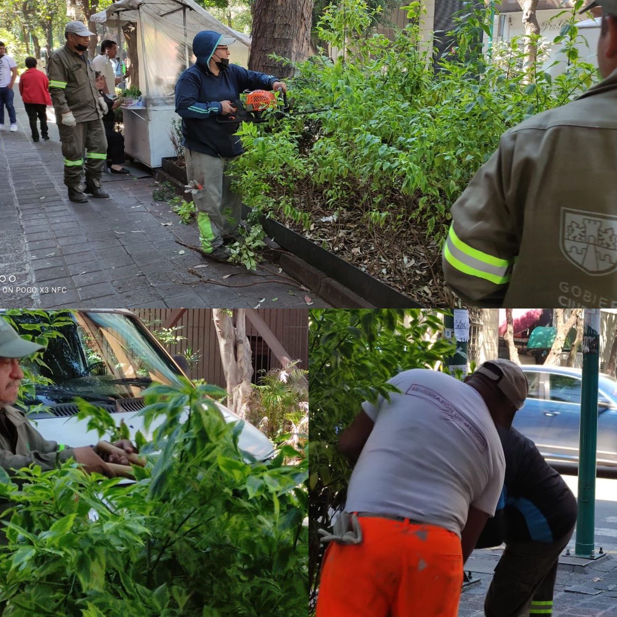 AlcCuauhtemocMx's tweet photo. (2/2)🧵
✅Retiro de cascajo🪨, en #SerapioRendon, #AntonioCaso, #GuillermoPrieto, #EzequielMontes y #IgnacioMariscal
✅Jardinería🍃✂️, en #Marsella
✅Construcción de rampa🚧 y reposición de tapa de registro, en #MercadoDeArtesaniasInsurgentes
#CuauhtémocEsTuCasa🏠 https://t.co/0pbmYys24H