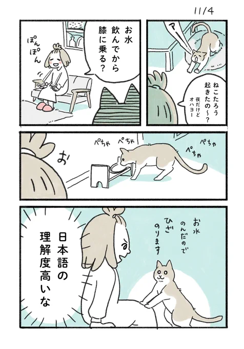 ねこと会話が成立した日の話🐱

#みちこの日記   #コルクラボマンガ専科 #猫のいる暮らし 