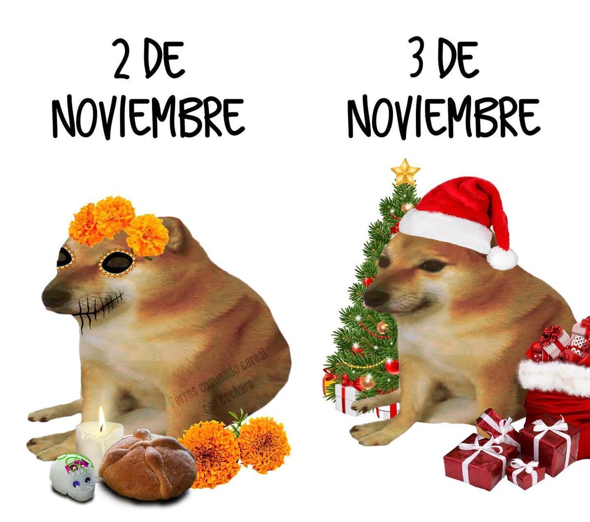 DiloConPerritos's tweet photo. Mood: https://t.co/hyMPDKNCKE