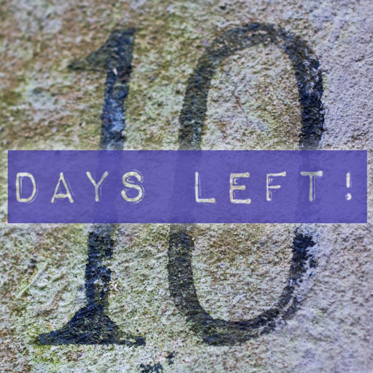 NYwingCAP's tweet photo. We’re closer to nine days left now, but if you’d like to come to our wing conference, there’s still time to register… link in our bio! #nywingconference2021 https://t.co/6upDGKt4nH