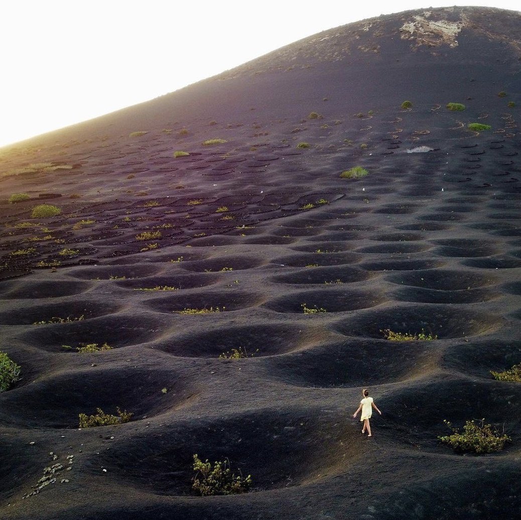 picazomario's tweet photo. El cultivo de vino en Lanzarote es excepcional. En lugar de viñedos, las vides crecen en agujeros cónicos rodeados de cenizas volcánicas.. El calor y la humedad permanecen en ellos. Sólo así pueden madurar las uvas en el suelo de lava negra. 
📸 @VictoireCtt_ https://t.co/hkh4lL2dbW