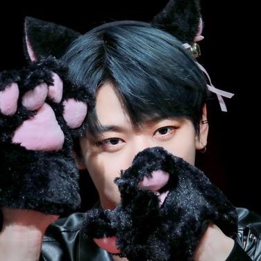 juyomiascats's tweet photo. this new acc is dedicated to posting pictures of #JUYEON as cats <3 pls follow, like and rt to spread !! https://t.co/MUIiYE12bj