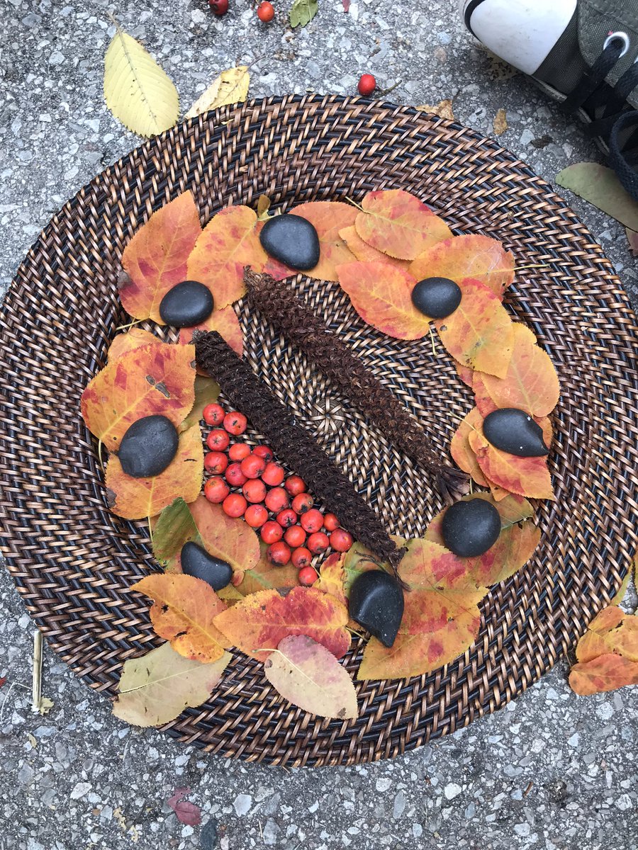 charlesgordonps's tweet photo. @HillsideOE @LC3_TDSB @EcoSchoolsTDSB @TOES_TDSB Exploring colour, shape and form in the outdoor classroom. Thank you @HillsideOE https://t.co/H36jyQqTRl