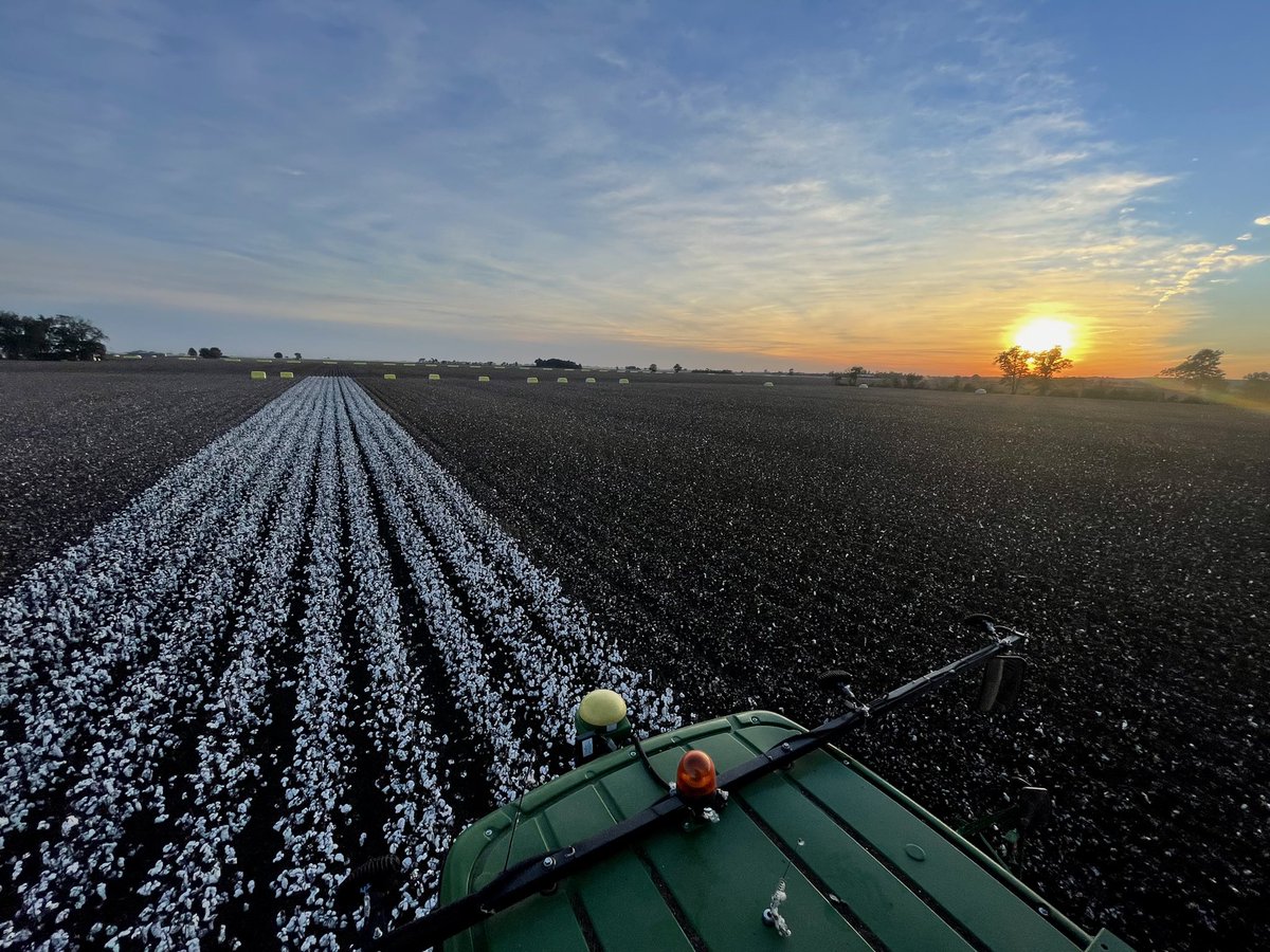 Mitch20's tweet photo. God is good and typically tends to paint us a pretty awesome sunset. #SEMO #Cotton #Deltapine https://t.co/V5KleFEyD5
