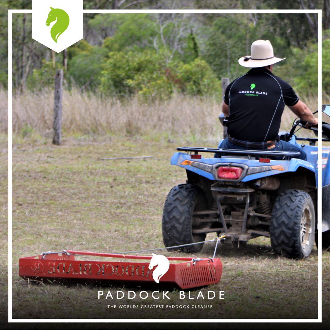 PaddockBlade's tweet image. Make your life easier and better by investing in an equipment that will save you hours of labor! No back pains, more free time! 🤑💸
Purchase your very own Paddock Blade and see how it works! 💪

#paddockblade #paddockbladeau #paddockcleaner #horselife