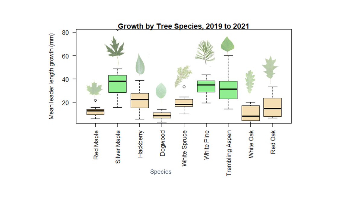 It's been a period of growth since starting a Masters in Forest Conservation at <a href="/UofT/">University of Toronto</a>. This graph I made might be beginner level science/statistics, and that's okay! I am learning, without a STEM background. Shout out to everyone doing things to challenge themselves🥰#womeninSTEM