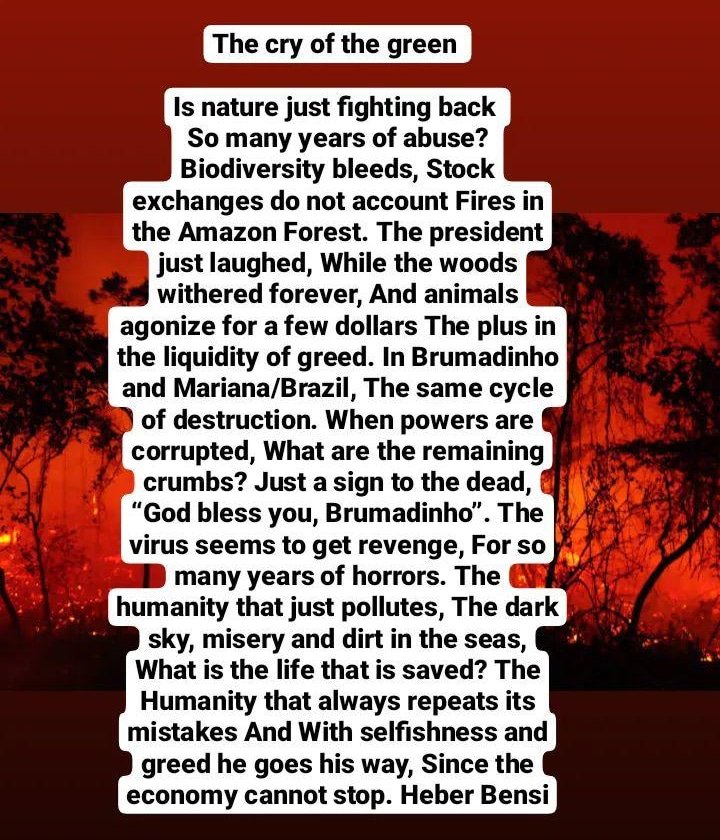 heberbensi's tweet image. #amazonforestfire  #firebrazil #brazilpoetry #environmentpoetry