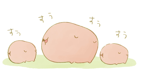 画像まとめ カピバラさん 14ページ目 アニメレーダー