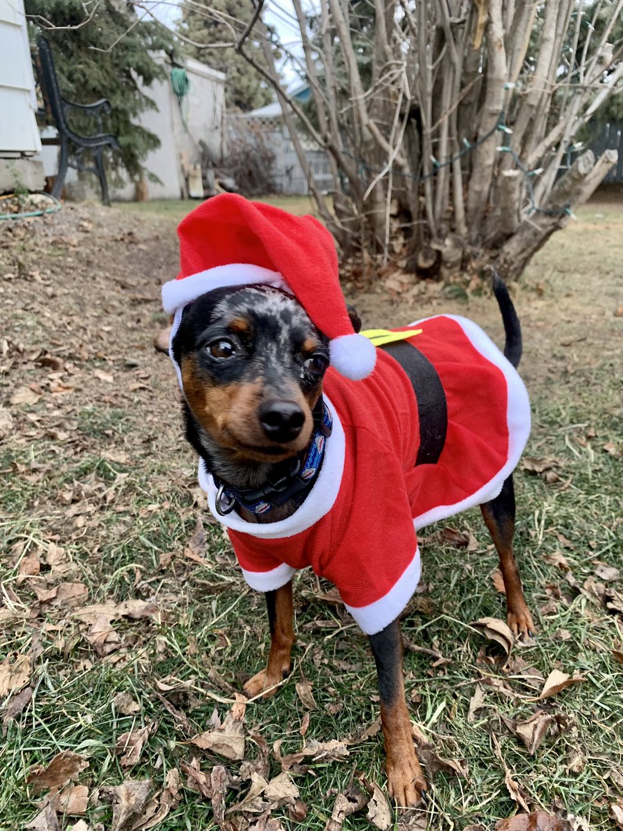 BarkinghamFSJ's tweet photo. now that it’s november, i can really start dressin https://t.co/rbjh0xXpxG