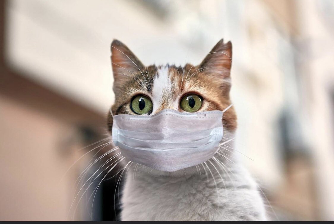 สวัสดีค่ะ..☺️ ทำงานที่เรารักกันเถอะ 😅🤣