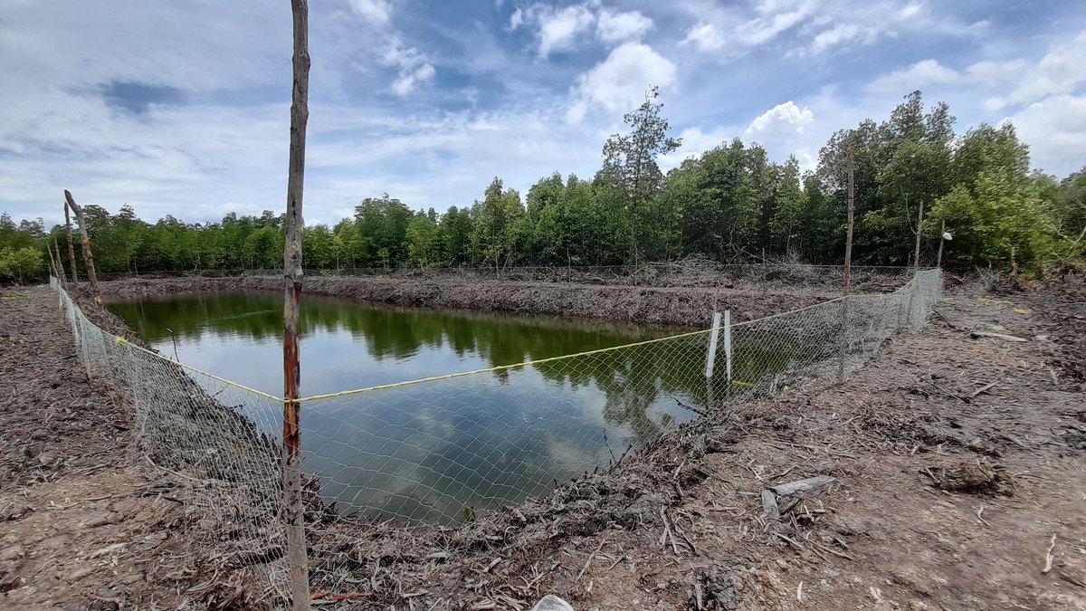 Heru Maruli tweet media