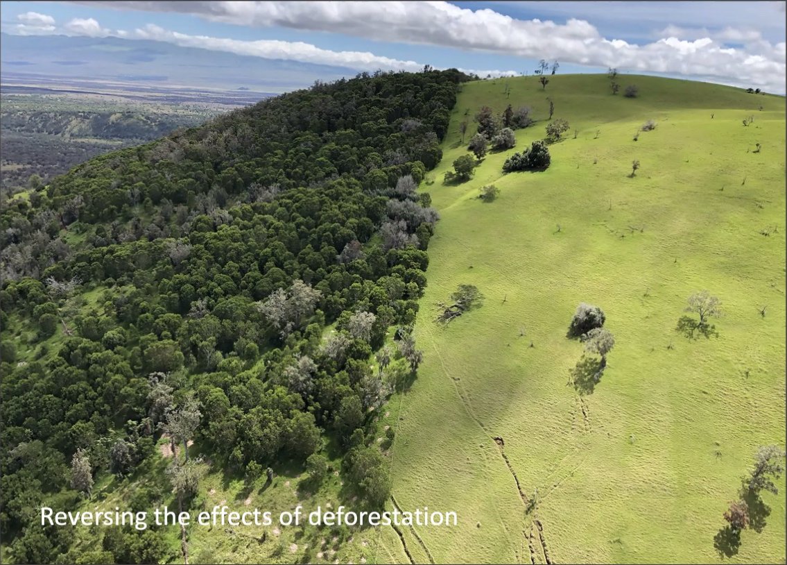 SnailerTaylor's tweet photo. @dlnr Division of Forestry and Wildlife works to preserve #biodiversity, protect watersheds, and maintain ecosystem health. Ungulate fencing, forest #restoration, and invasive species control are just a few of the many projects being implemented across Hawaiʻi. #NREMseminar https://t.co/CgmU1UzPiy
