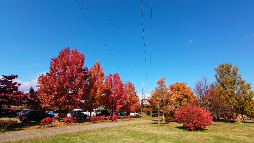 山形市西公園 Twitter Search Twitter