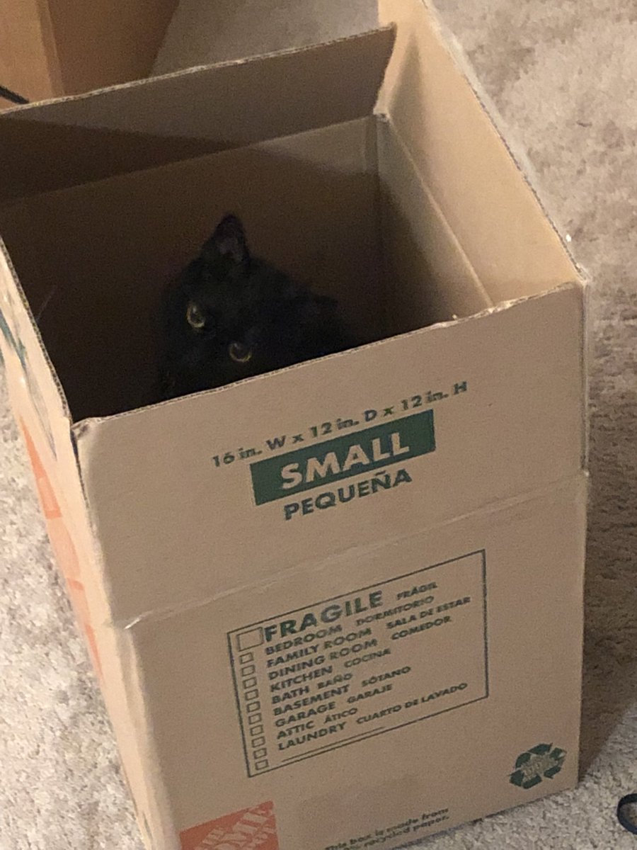 Rachel D. Rice tweet media