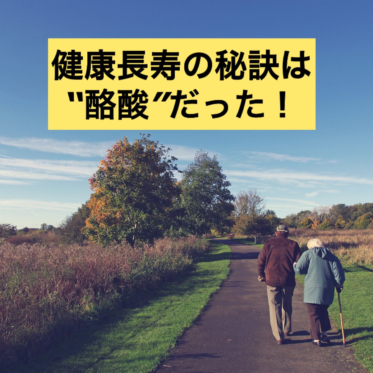 SmartstarchO's tweet photo. 究極のテーマ、健康長寿。
何をしたらいい？その答えを見つけに行こう！

#腸活　#酪酸　#レジスタントスターチ

https://t.co/7ii2CekPwJ https://t.co/UR3upTATX0