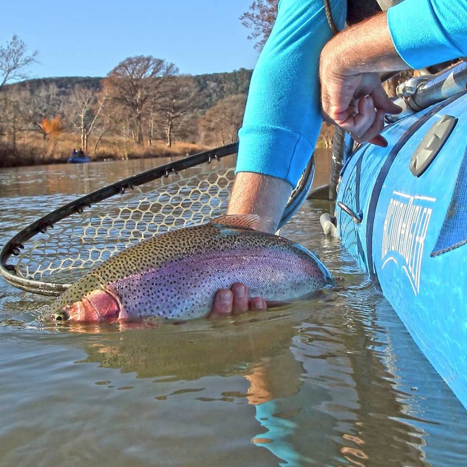 actionangler's tweet photo. November Fly Fishing Report &amp; Business Update - https://t.co/NUJSwNr4PQ https://t.co/iQjvvDeHo9