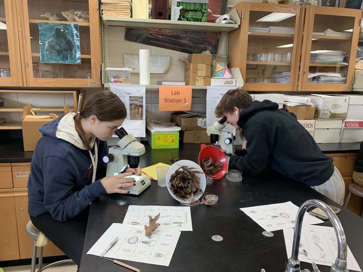 dpfaff2's tweet photo. Leaf liter for #goapes today. The kids got outside and did some real science. That’s a good day! #ruiningchildhood #getoutdoors #theyareeverywhere https://t.co/18QxzfJmde