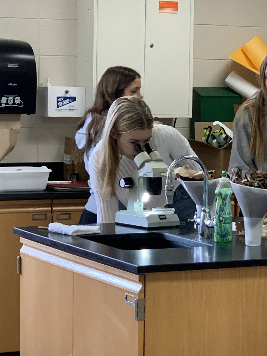dpfaff2's tweet photo. Leaf liter for #goapes today. The kids got outside and did some real science. That’s a good day! #ruiningchildhood #getoutdoors #theyareeverywhere https://t.co/18QxzfJmde