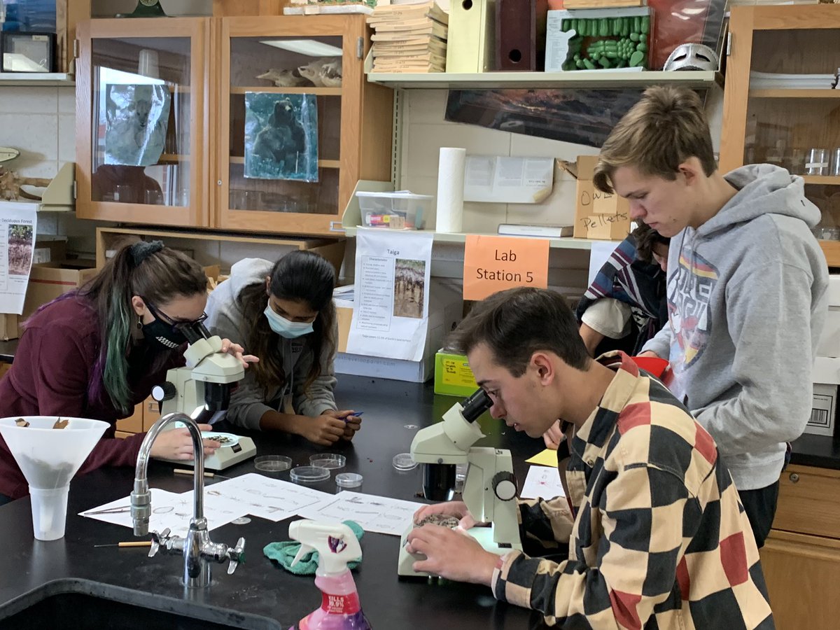 dpfaff2's tweet photo. Leaf liter for #goapes today. The kids got outside and did some real science. That’s a good day! #ruiningchildhood #getoutdoors #theyareeverywhere https://t.co/18QxzfJmde