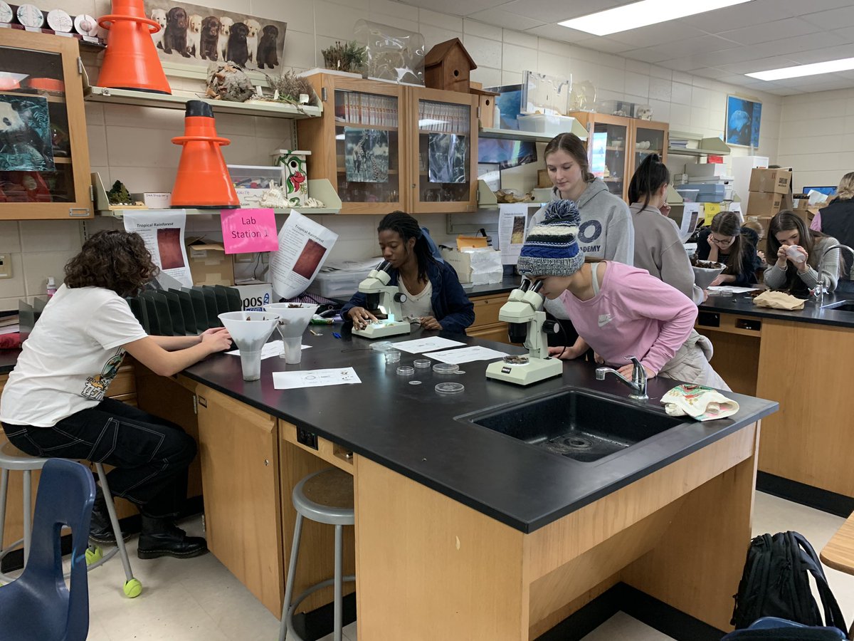 dpfaff2's tweet photo. Leaf liter for #goapes today. The kids got outside and did some real science. That’s a good day! #ruiningchildhood #getoutdoors #theyareeverywhere https://t.co/18QxzfJmde