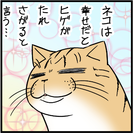 幸せは猫それぞれと言うけれど・・・w
 #ニャンコ #まんが #猫 #猫あるある #猫漫画 #ペット #飼い主 #エッセイ漫画 #キャット #ねこのいる生活 #4コマ 