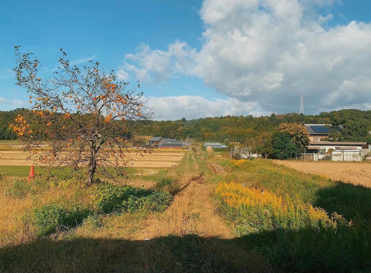 Kobe_PRA's tweet photo. Good morning from the north!  
Location: Kita-ku area, Kobe City 
#kobe #japan #japanbucketlist 
#神戸 #神戸旅行におすすめ 

Reposted from https://t.co/v3SxdkQORm https://t.co/d2k1hqwHcN