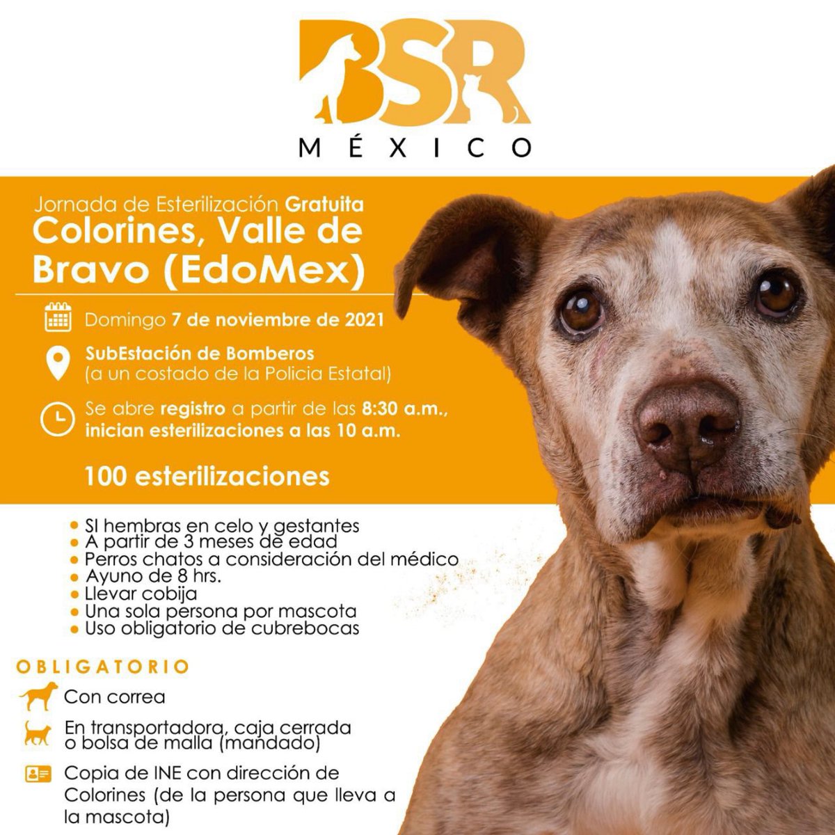 Brigada Sin Raza tweet media