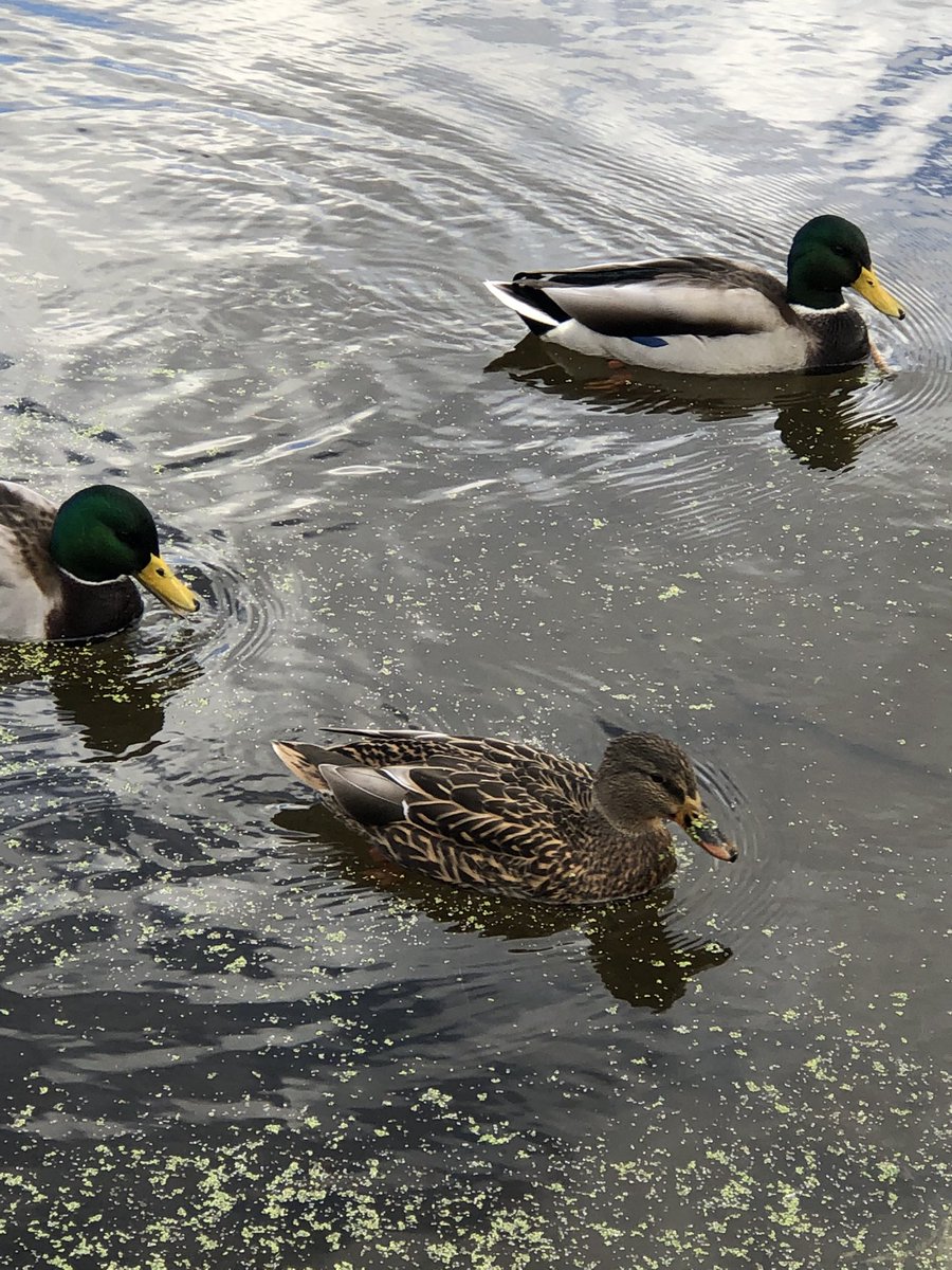 PA Day fun at little cat conservation area to feed the birds play in the woods and a picnic lunch